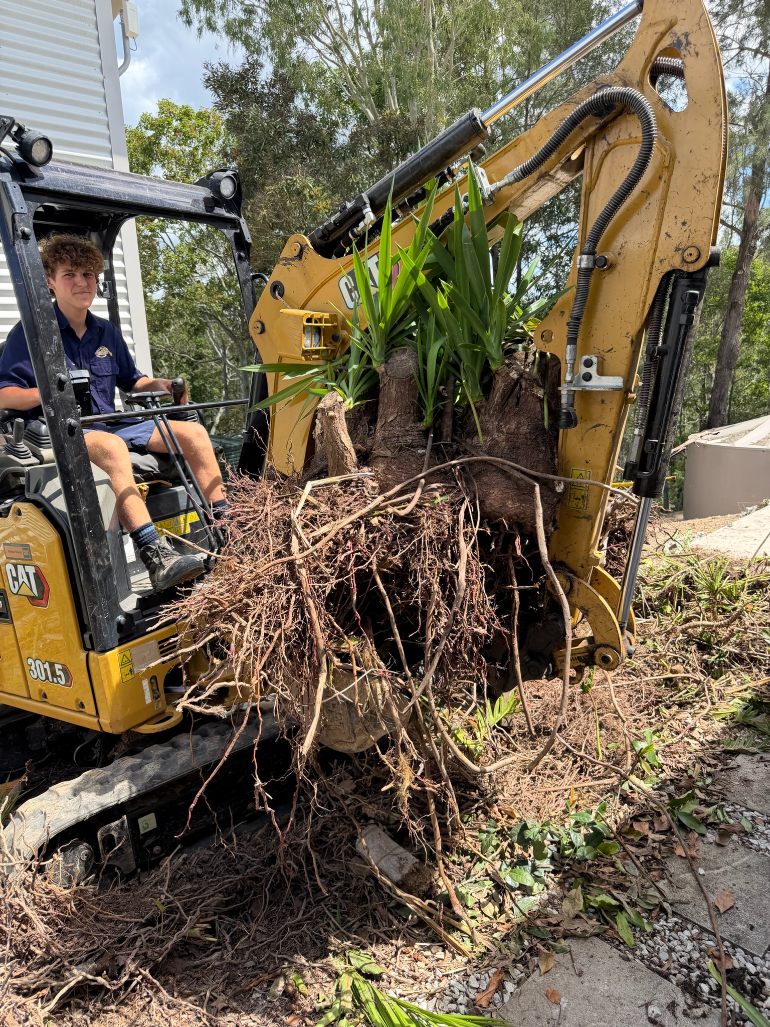 Landscaping & Site Prep Chermside